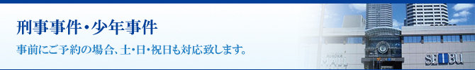 刑事事件・少年事件 刑事事件・少年事件